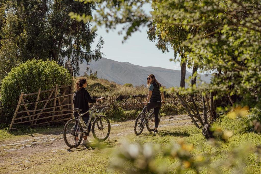 Colca Trek Lodge Best Experience Pinchollo Bagian luar foto